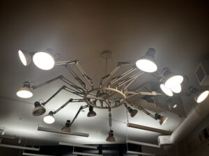 A light fixture suspended from the ceiling has bulbs on moveable 'arms' extending in all directions